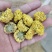 球菊乒乓球菊花桃菊黄菊菊花茶婺源菊花草茶