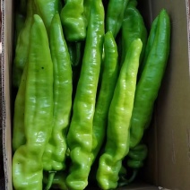 椒王辣椒