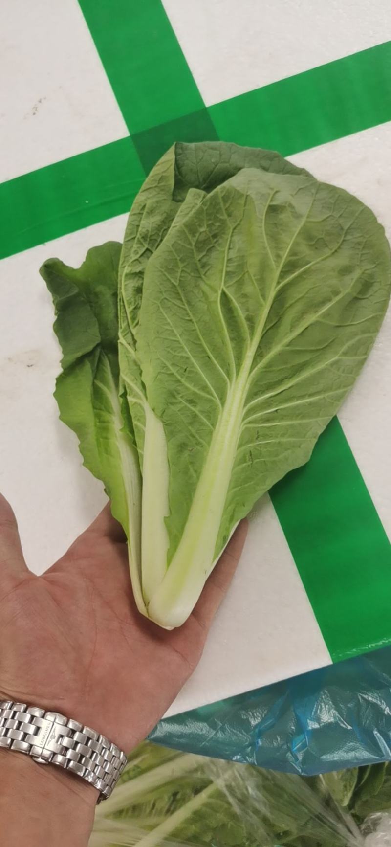 精品箱装水白，常年供应，品质有保障，产地直销，