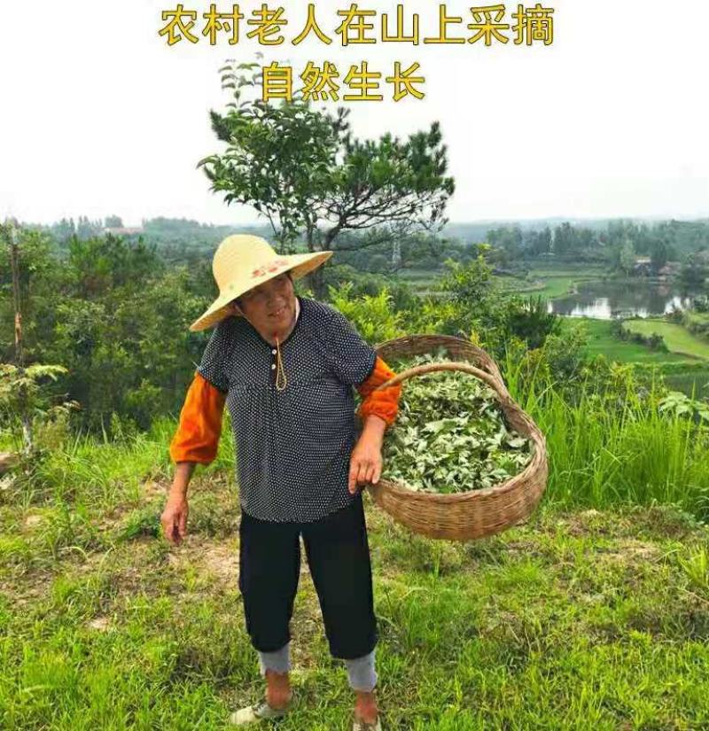 野生艾草艾叶中药材优质艾叶干净无杂泡脚泡澡驱蚊包邮