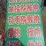 樱桃树苗车厘子特大美早樱桃矮化盆栽庭院地栽耐寒俄罗斯八号