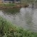 焦作市沁阳市鱼塘出租100亩价格来电详谈。