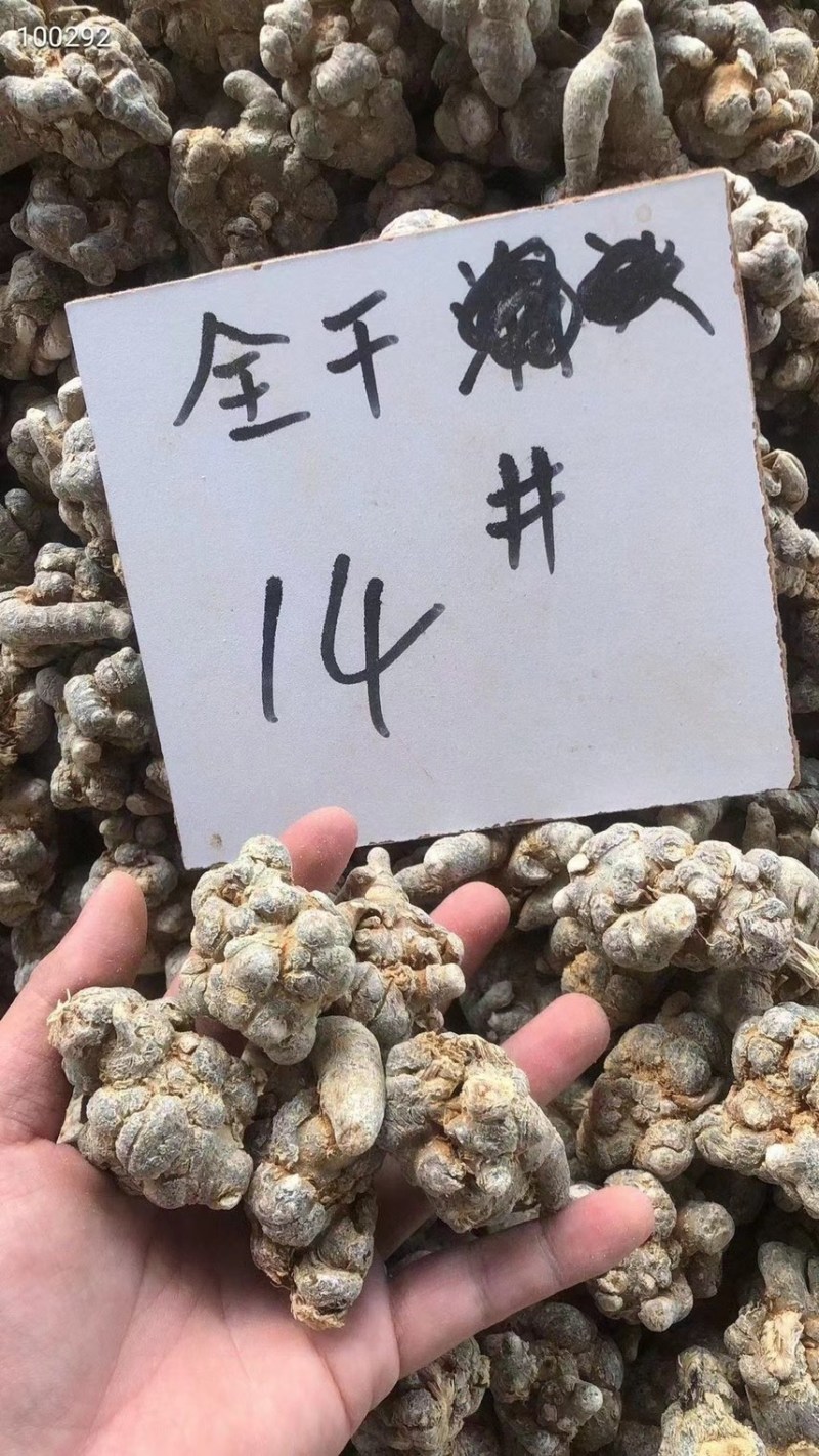 云南文山三七特级6年七田七10头8头12头15头500克