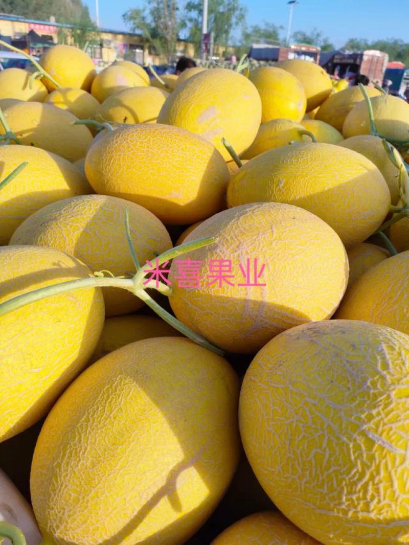 精品海南凤金6号品相好口感甜纹路清晰