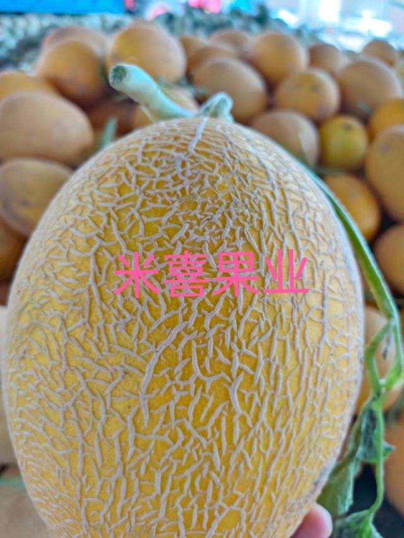 精品海南凤金6号品相好口感甜纹路清晰