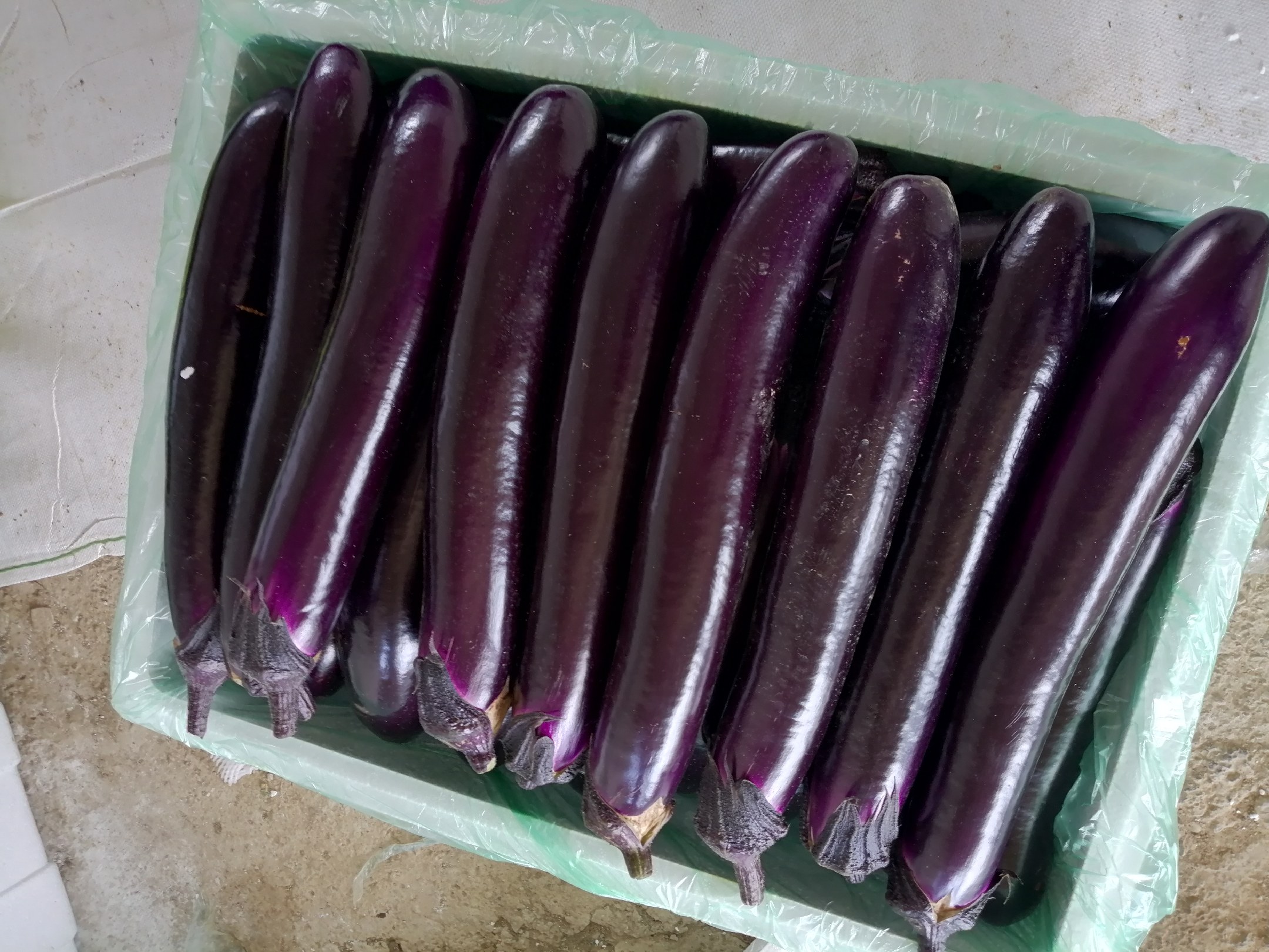 红烧茄子成品图