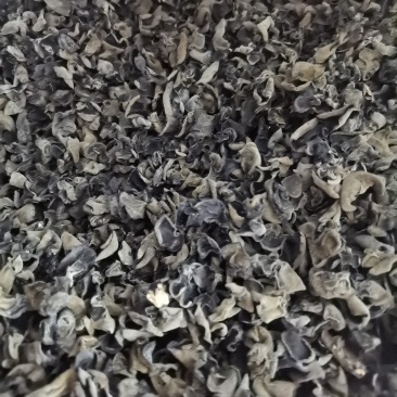 东北原产地大棚菜黑木耳***泡发率高量大稳定