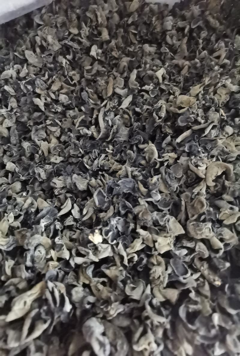 东北原产地大棚菜黑木耳***泡发率高量大稳定