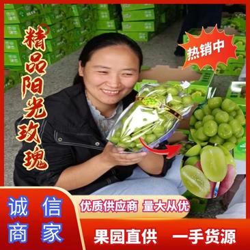 【推荐】陕西大荔葡萄精品阳光玫瑰万亩采摘园大量上市