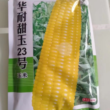 水果玉米