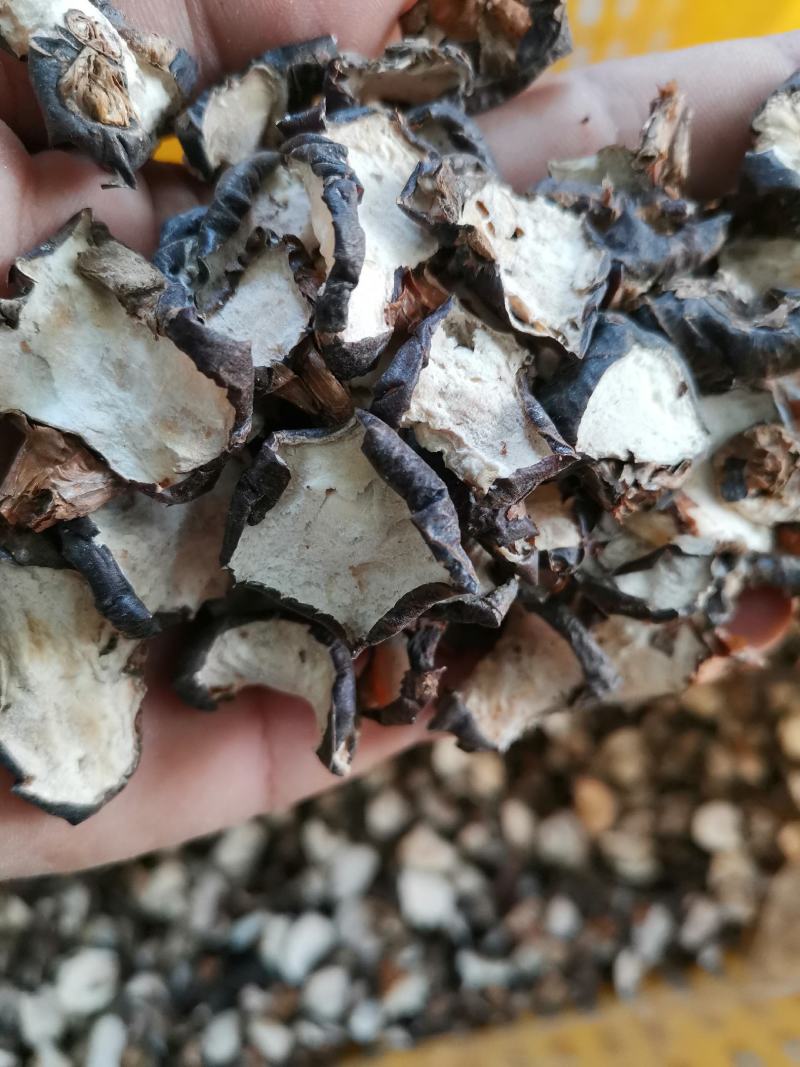甜脆马蹄干片荸荠干片煲汤糖水原料大片马蹄干足干无硫