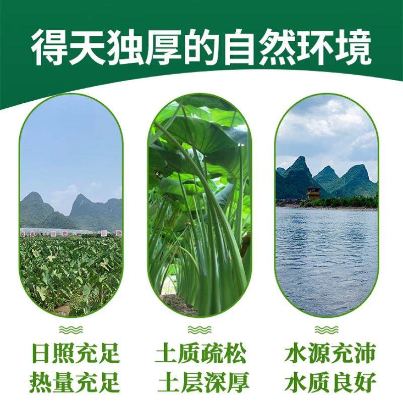 热销爆款荔浦芋头片