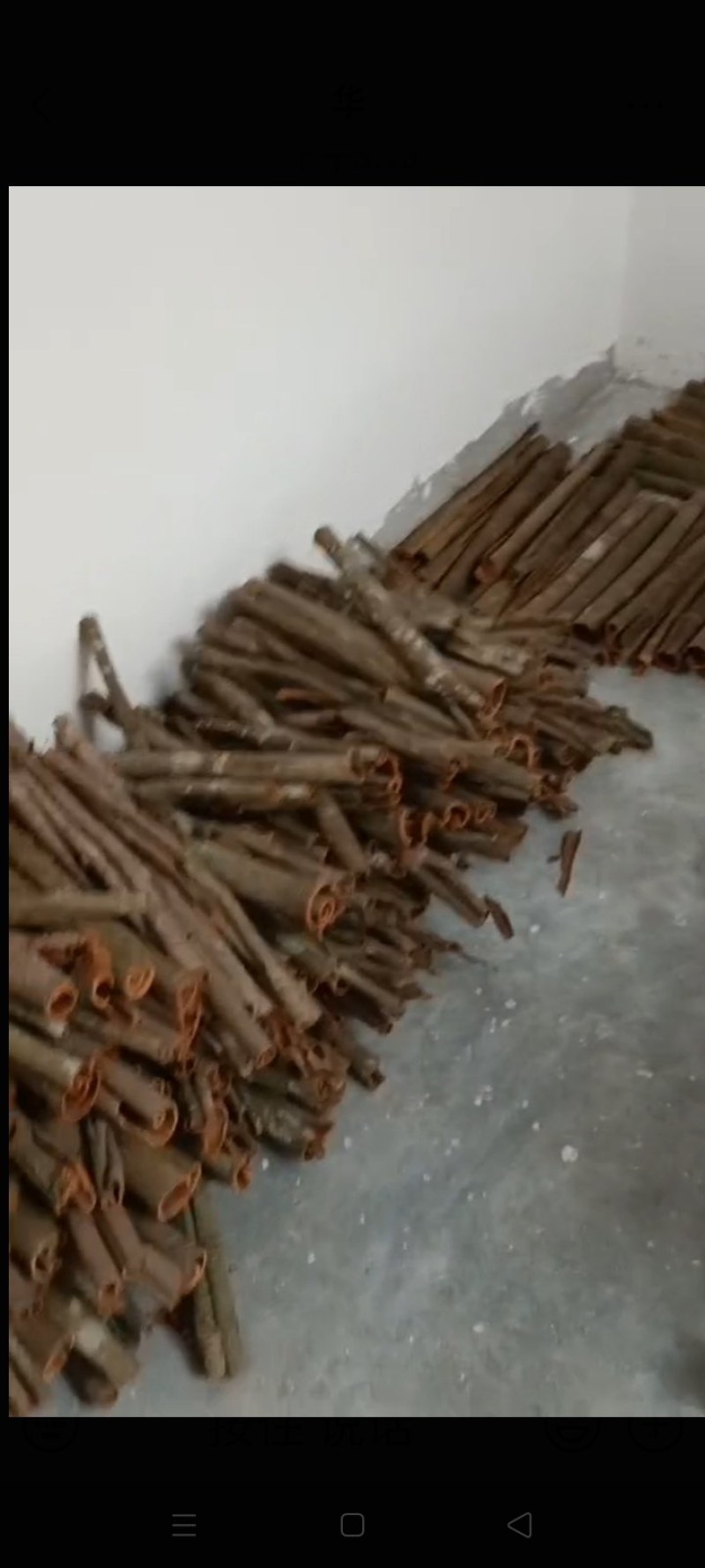 桂皮，桂碎，中通、小通、桂花、桂枝片、桂油