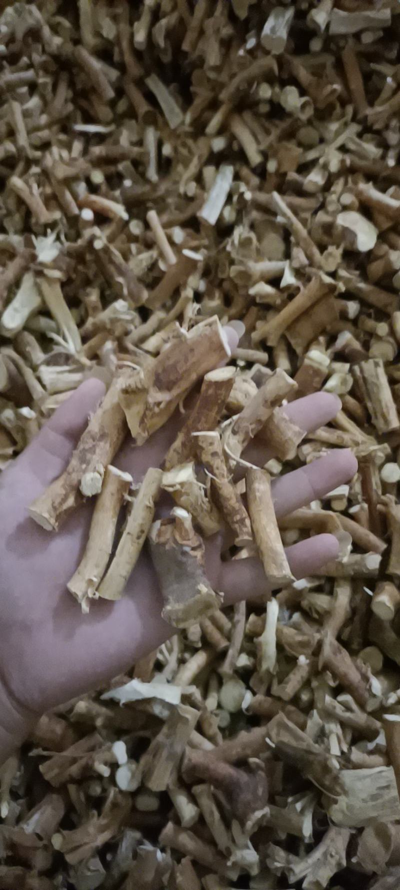 广西五指毛桃中节中段种植无硫足干货段子节子