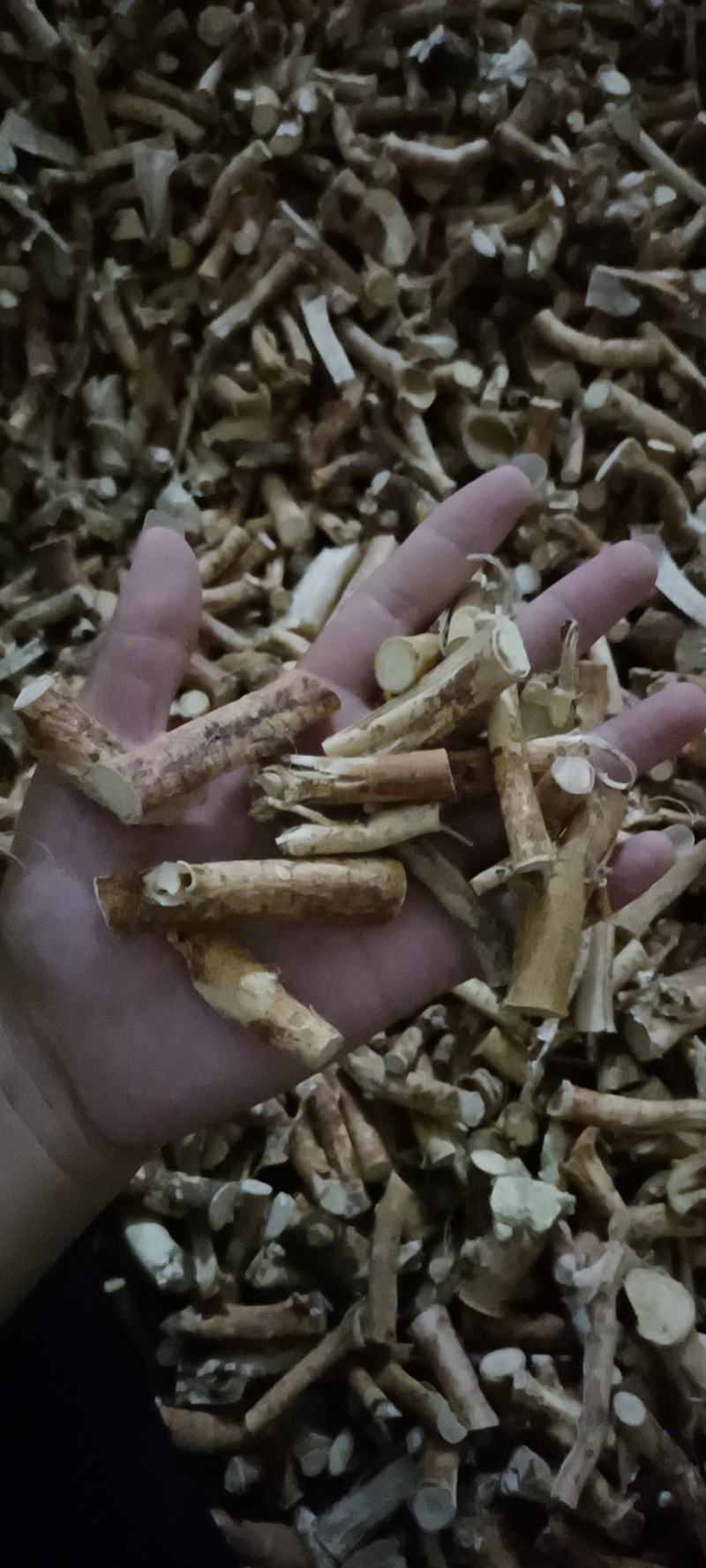 广西五指毛桃中节中段种植无硫足干货段子节子
