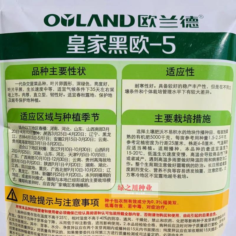 欧兰德**黑欧-5黑圆叶菠菜种子耐低温易捆扎肉厚直立