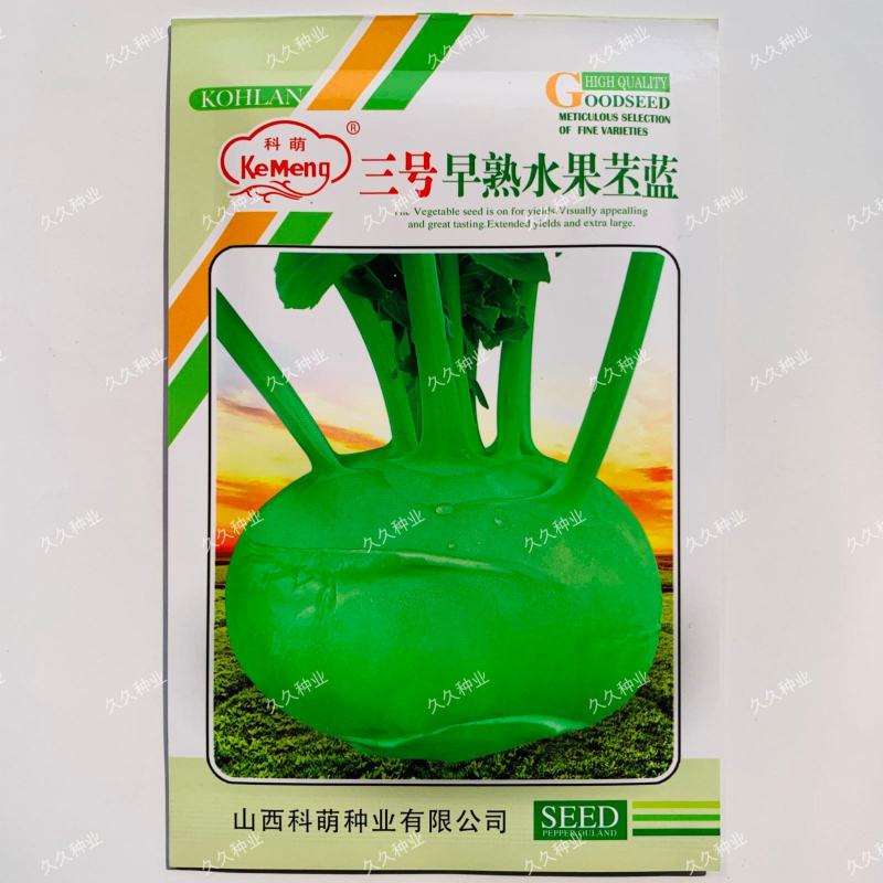 科萌三号水果苤蓝种子翠绿扁圆球苤蓝种籽脆甜春秋季苤兰蔬菜