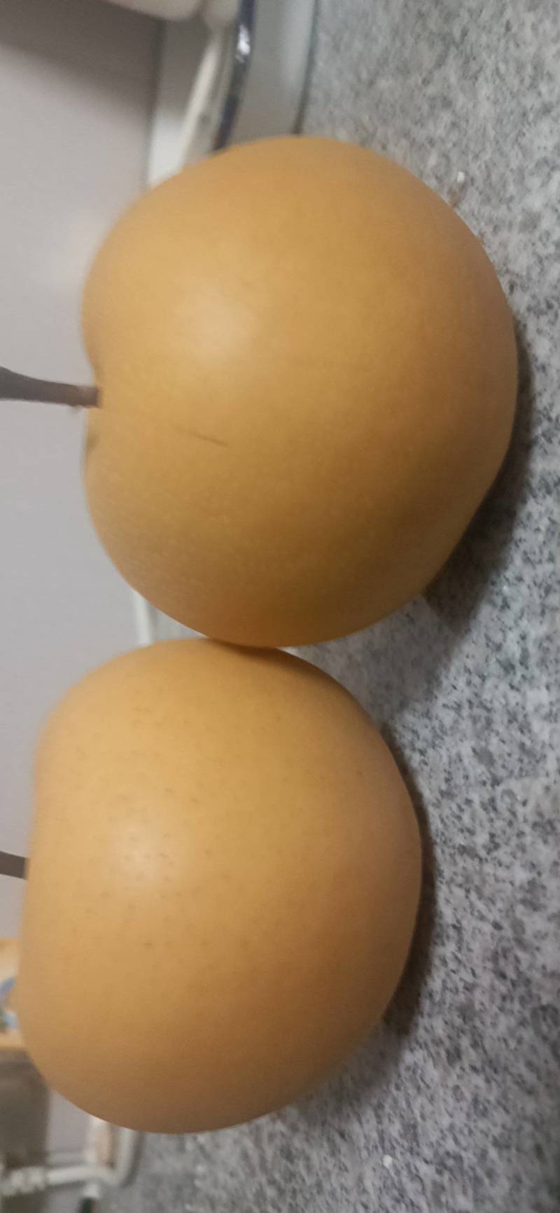秋月梨