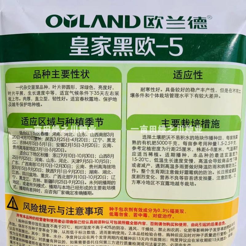 欧兰德**黑欧-5黑圆叶菠菜种子耐低温易捆扎肉厚直立