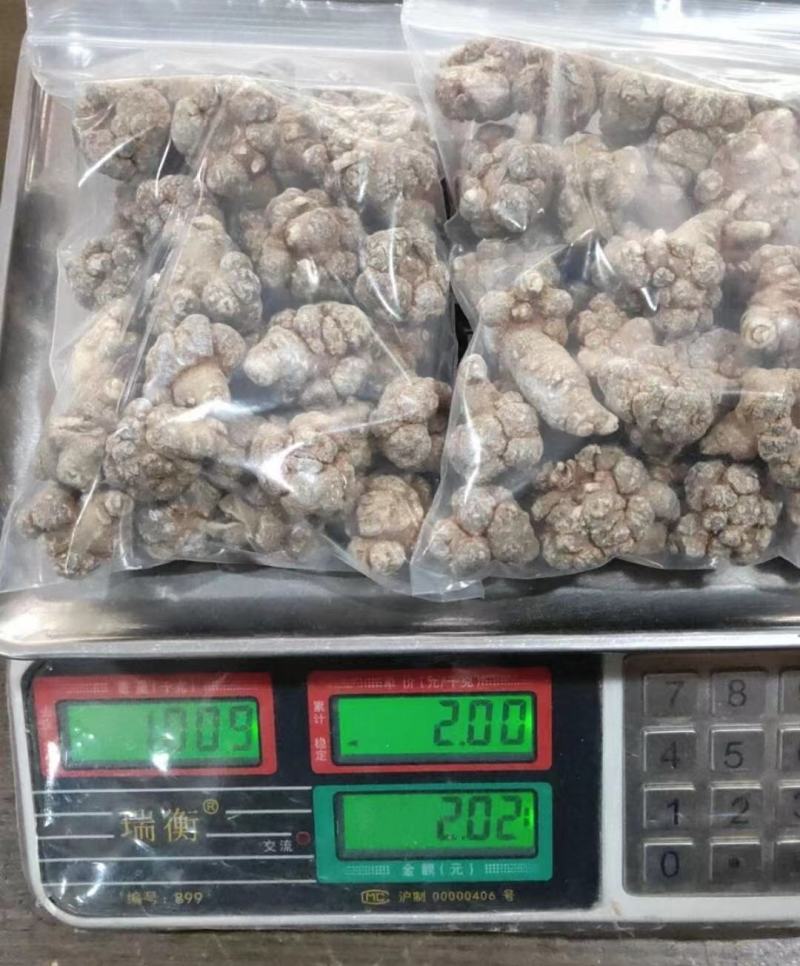 云南文山三七田七红土三七田七现货批发包邮