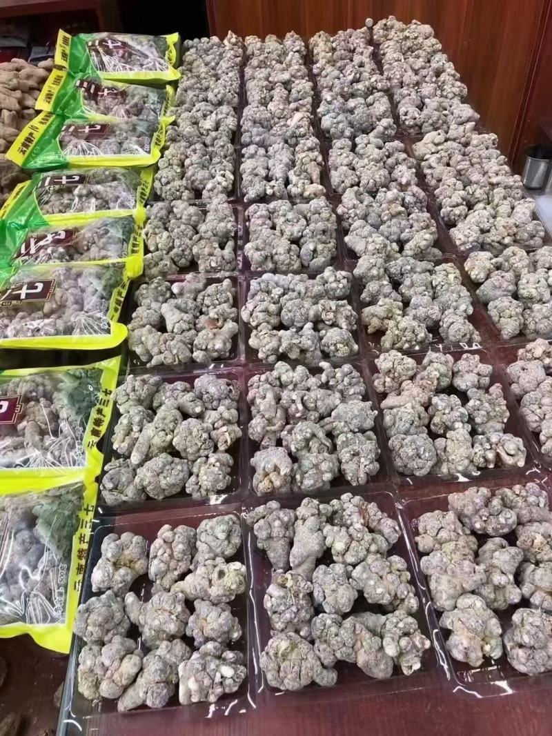 云南文山三七田七红土三七田七现货批发包邮