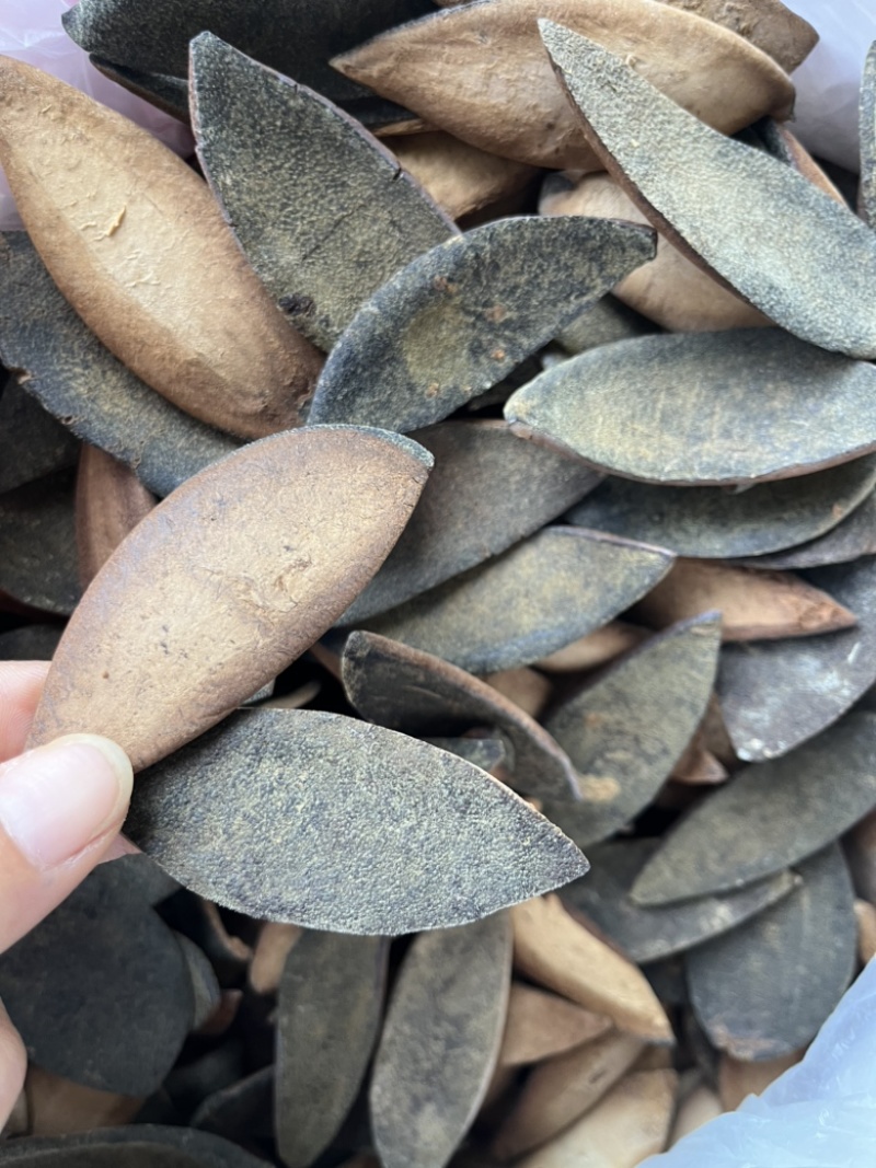 化橘红一爪皮桔红正毛陈年橘红皮药食同源