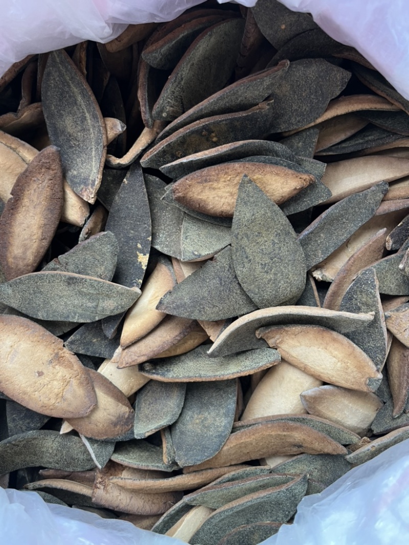 化橘红一爪皮桔红正毛陈年橘红皮药食同源