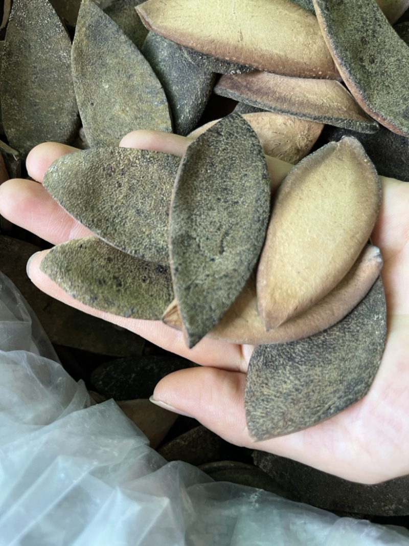 化橘红一爪皮桔红正毛陈年橘红皮药食同源