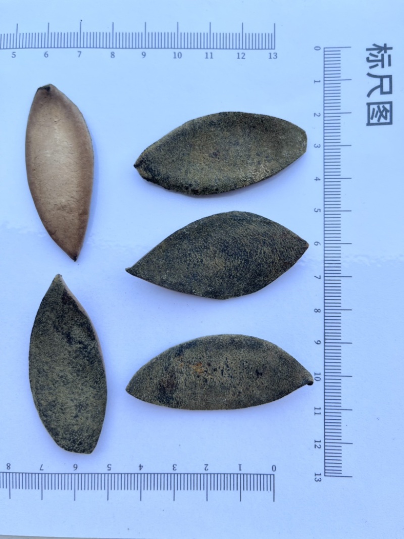化橘红一爪皮桔红正毛陈年橘红皮药食同源