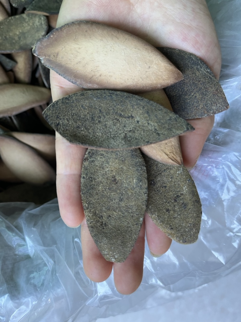 化橘红一爪皮桔红正毛陈年橘红皮药食同源