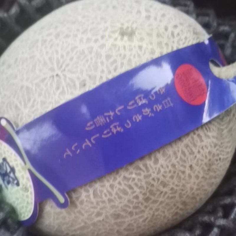 晓蜜25哈密瓜海南蜜瓜基地直供量大从优