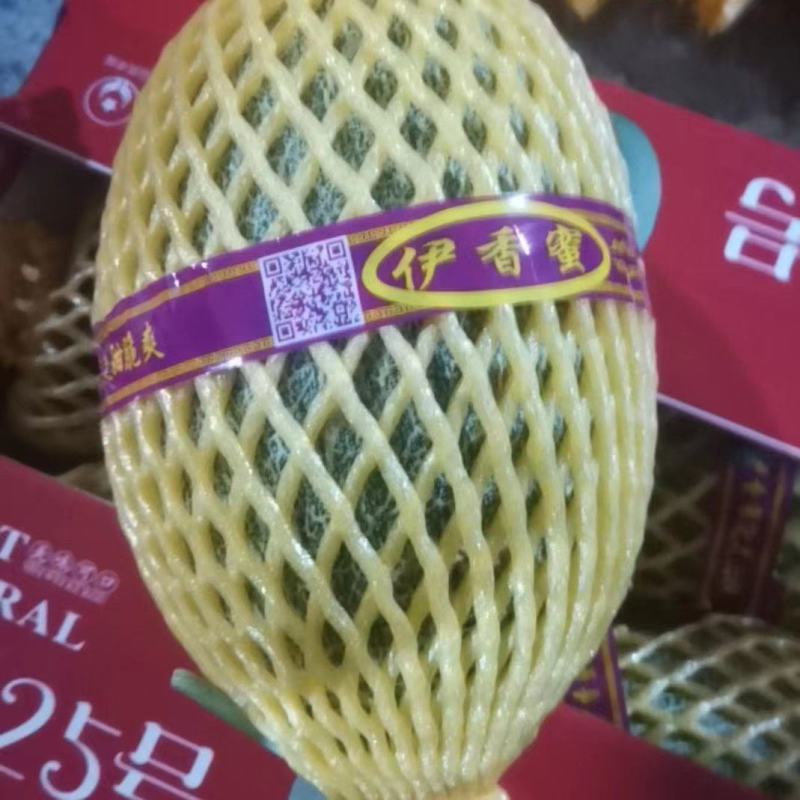 晓蜜25哈密瓜海南蜜瓜基地直供量大从优