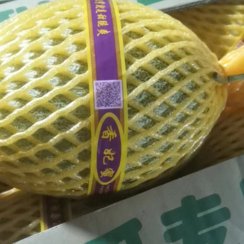 晓蜜25哈密瓜海南蜜瓜基地直供量大从优