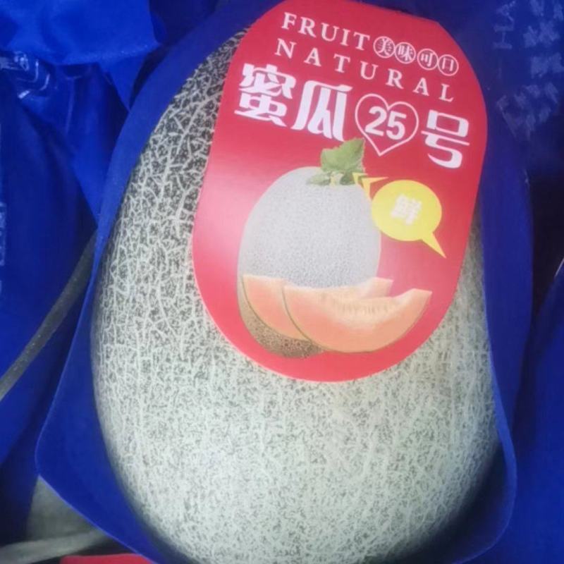 晓蜜25哈密瓜海南蜜瓜基地直供量大从优