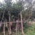 水翁5-8-10-12-15-18-20分大量清场价格低