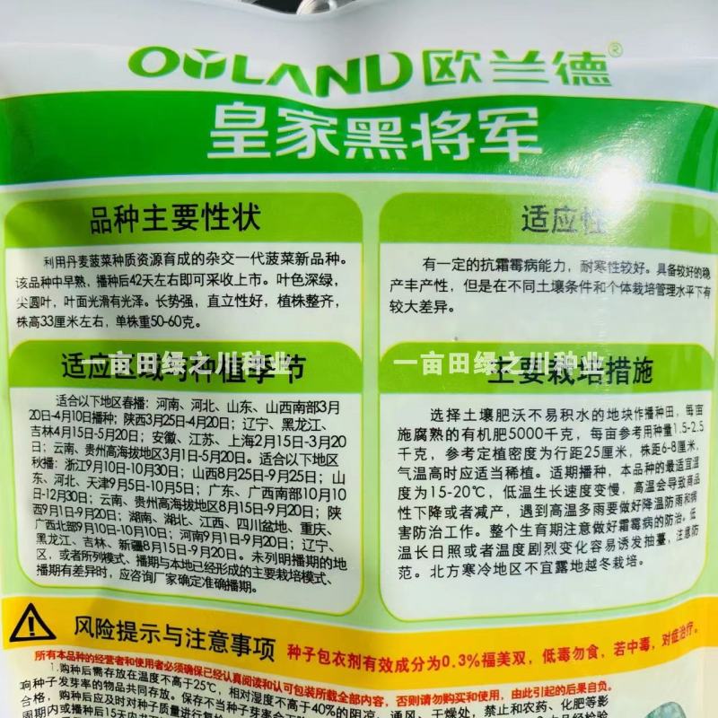 丹麦一代杂交菠菜种子叶色深绿抗病高产尖圆叶菠菜种子