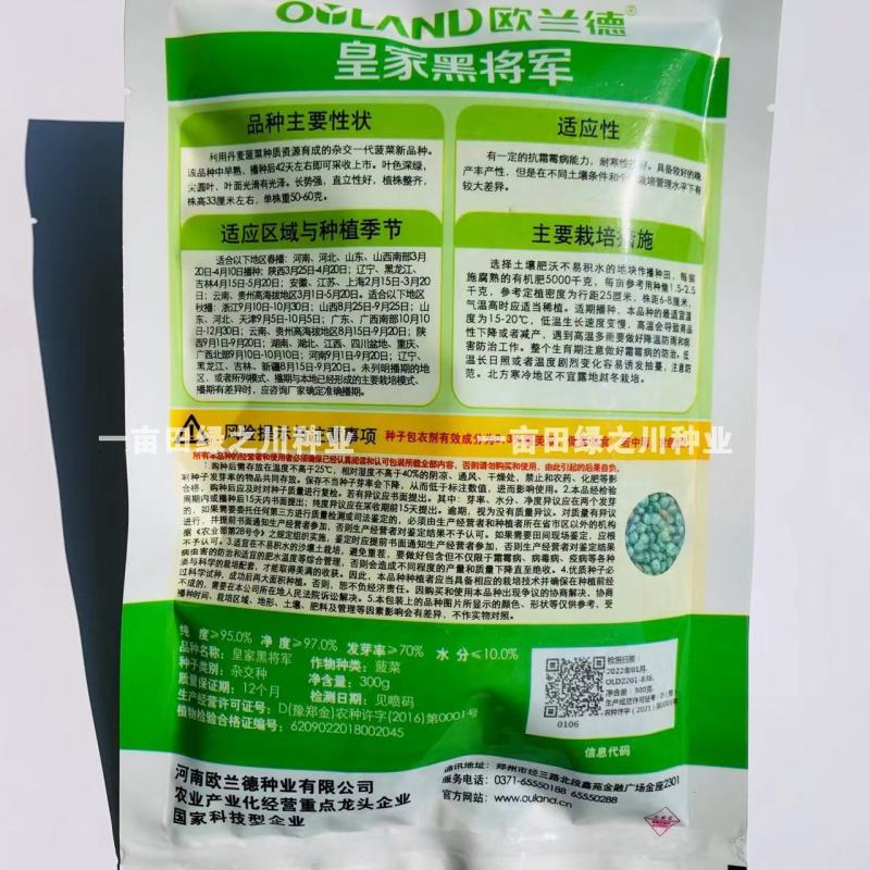丹麦一代杂交菠菜种子叶色深绿抗病高产尖圆叶菠菜种子