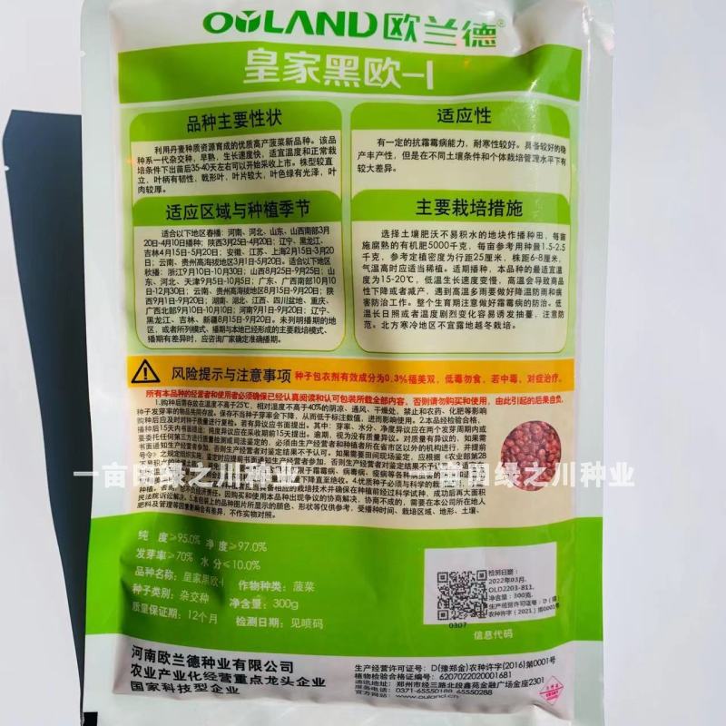 丹麦杂交菠菜种子叶片绿有光泽抗病高产菠菜种子欧兰德菠菜
