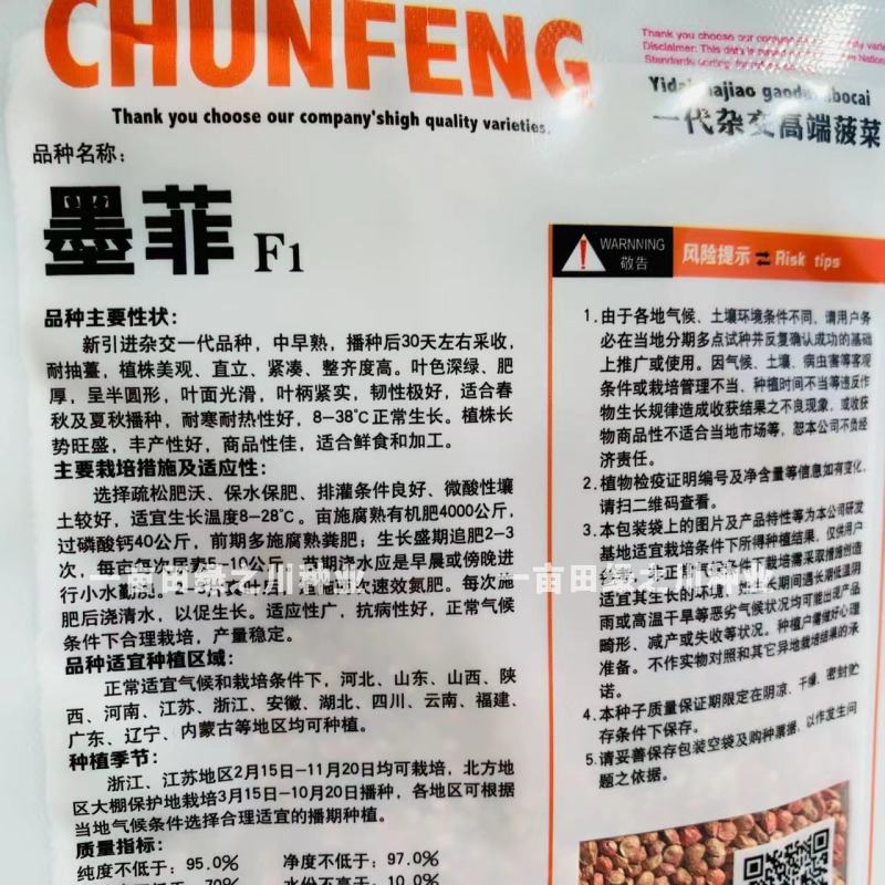 墨菲F1耐寒耐热一代杂交直立菠菜种子耐抽薹菠菜种子大叶