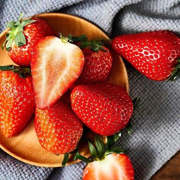 白雪公主草莓苗，种子种苗，免费技术指导包回收，草莓苗