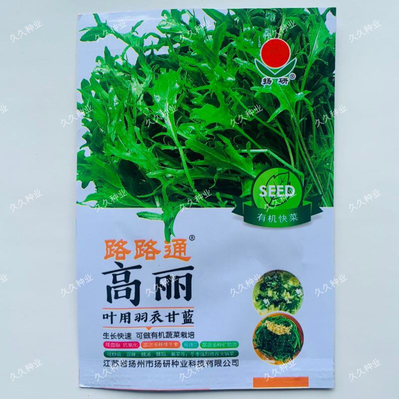 路路通高丽种子叶用羽衣甘蓝生长快速可做有机蔬菜栽培火锅菜