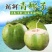 海南椰青专向各大市场电商团购现货批发欢迎前来找我合作