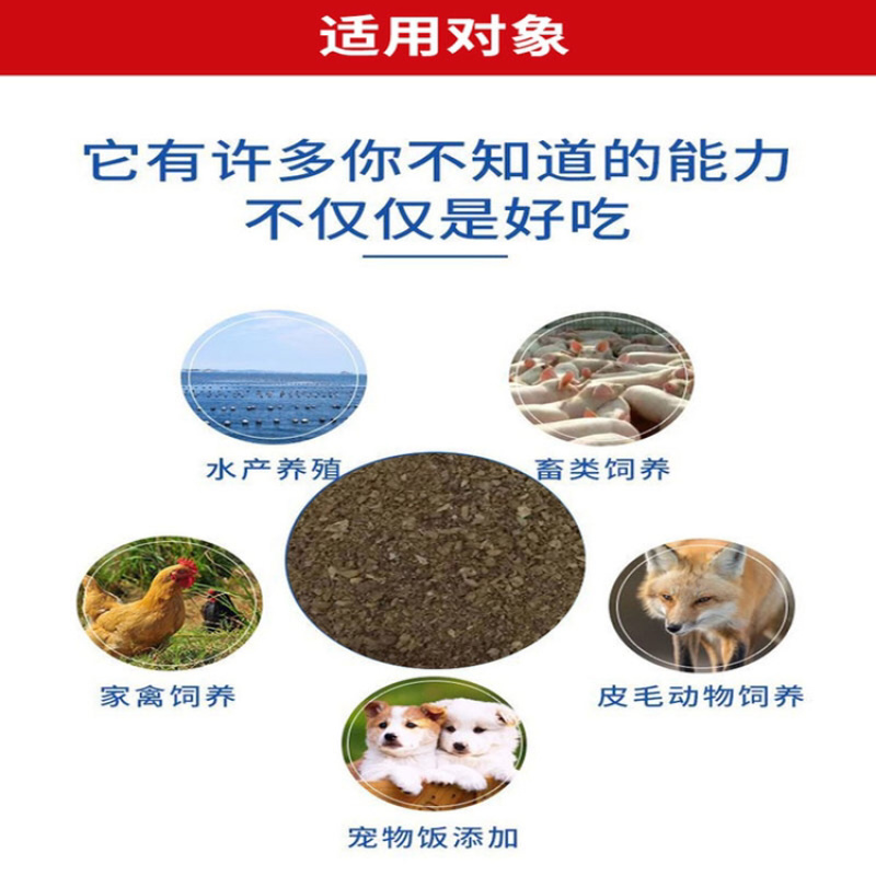 饲料牛骨粉钙磷骨粉牛羊用骨粉厂家发货保证质量