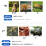 饲料牛骨粉钙磷骨粉牛羊用骨粉厂家发货保证质量