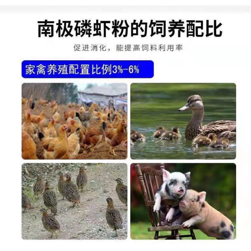 南极磷虾粉饲料鱼粉虾粉窝料虾粉垂钓诱饵钓鱼饵料红虾粉