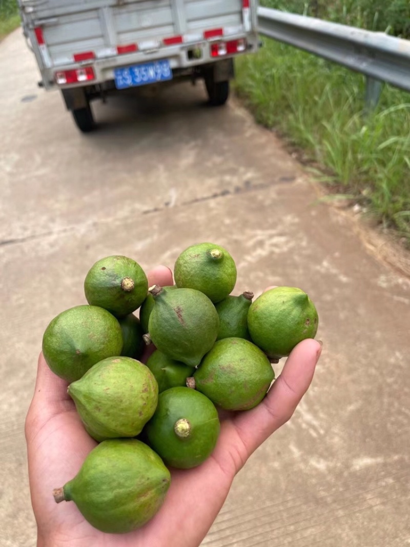 怕上火，就来点奥州坚果，又营养健康又美味