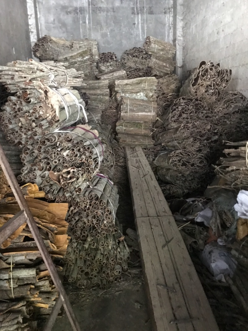 杜仲皮干货湖北中药材杜仲树皮丝绵树皮皮