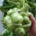 榨菜种子嫩脆榨菜青菜头皮薄四川特产凉拌加工榨菜腌渍泡菜