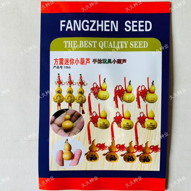 方震迷你小葫芦种子文玩小葫芦种子拇指葫芦种籽特色工艺品