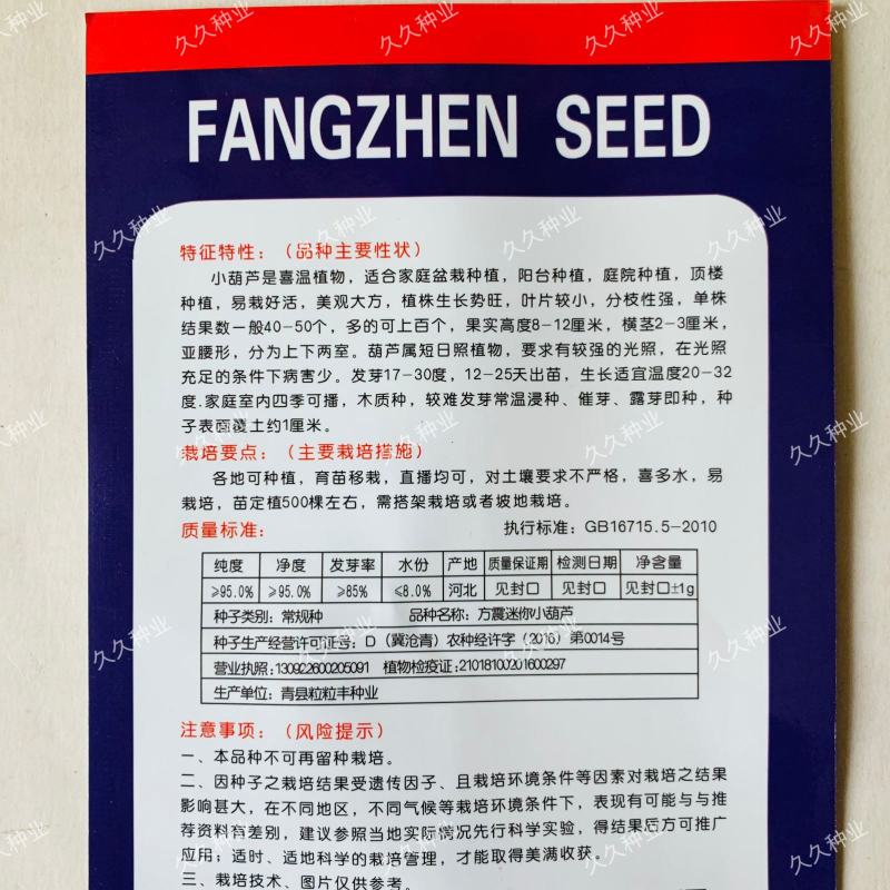 方震迷你小葫芦种子文玩小葫芦种子拇指葫芦种籽特色工艺品